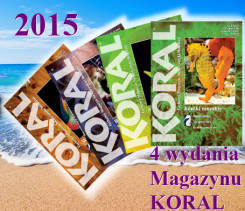 Magazyn KORAL 2015 - 4 wydania