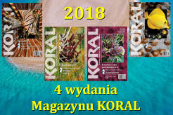 Magazyn KORAL 2018 - 4 wydania