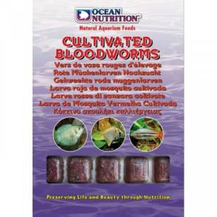 Ocean Nutrition Cultivated Bloodworms 100g