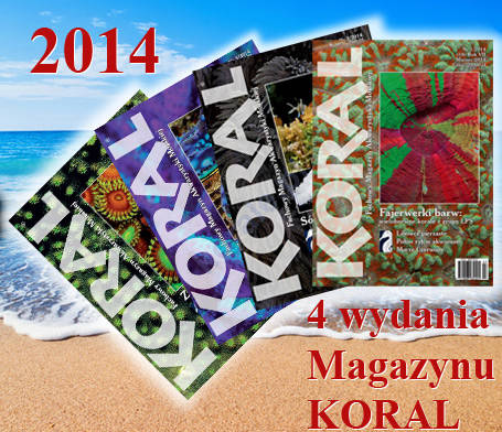 Magazyn KORAL 2014- 4wydania