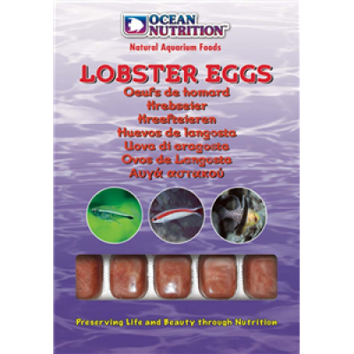 Ocean Nutrition Lobster Eggs (ikra homara) 100g