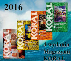 Magazyn KORAL 2016 - 4 polskie wydania