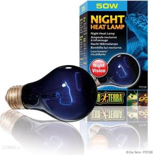 EXO TERRA Night Heat Lamp 50W żarówka nocna