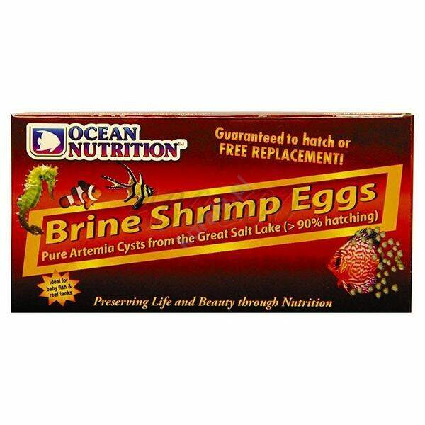 Ocean Nutrition Brine Shrimp Eggs 50g jaja artemii