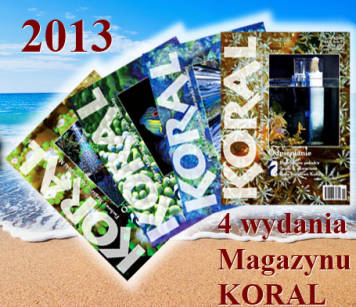 Magazyn KORAL 2013 - 4 polskie wydania