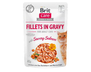 BRIT CARE CAT FILLETS IN GRAVY SAVORY SALMON POUCH 85g