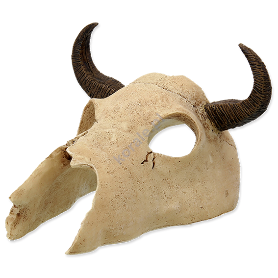 REPTI PLANET Dekoracja czaszka Bawoła 12,5x11,8x8cm