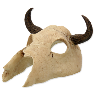 REPTI PLANET Dekoracja czaszka Bawoła 12,5x11,8x8cm