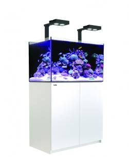 Red Sea Reefer 250 Deluxe Biały 