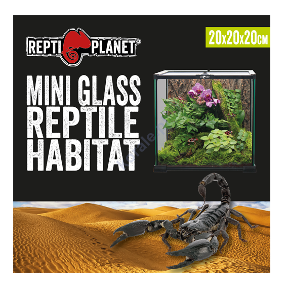 REPTI PLANET  terrarium szklane 20x20x20cm