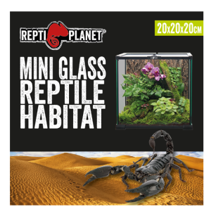 REPTI PLANET terrarium szklane 20x20x20cm