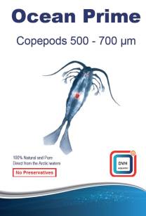 DVH ocean prime Copepods 500-700 mikronów, karma dla ryb i koralowców