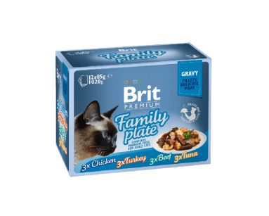 BRIT PREMIUM CAT POUCH GRAVY FILLET FAMILY PLATE 12 x 85g