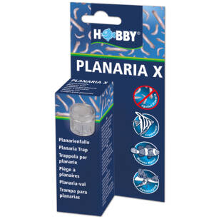 Hobby Planaria X pułapka na płazińce