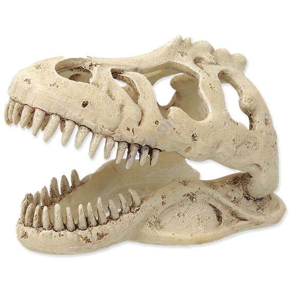 REPTI PLANET Dekoracja czaszka T-REX 13,3x8,5x9cm