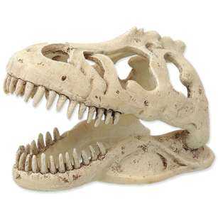 REPTI PLANET Dekoracja czaszka T-REX 13,3x8,5x9cm
