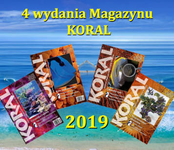 Magazyn KORAL 2019 - 4 wydania  